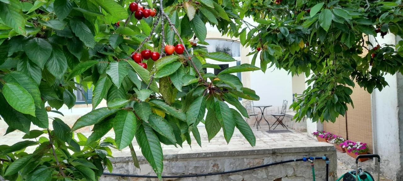 Locazione Turistica San Giorgio Apartamento Putignano Exterior foto